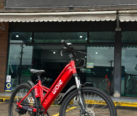 BIKE FAST DELIVERY WOIE